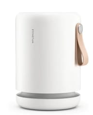 Molekule Air Mini+