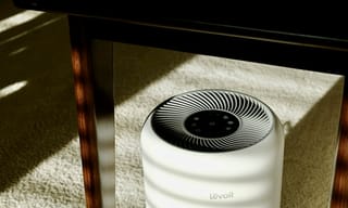 White cylindrical air purifier sitting on carpet in a sunlit room