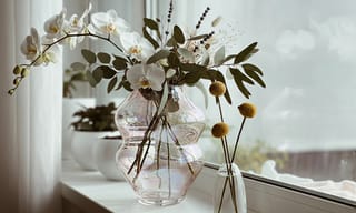Clean home with spring flowers and natural sunlight. Photo by Igor Karimov on Unsplash