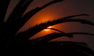 PM2.5 air quality monitor displaying readings during wildfire season with hazy sky visible through window