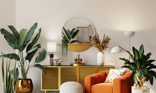 A bright, modern living room with houseplants and natural light, representing clean indoor air