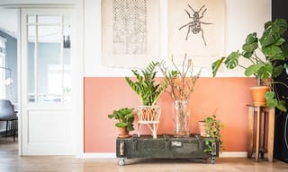 Modern living room with elegant furniture and clean indoor air