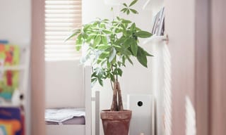 White tower air purifier running beside a potted plant in a sunlit bedroom