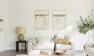 A bright, clean living room with a sofa and houseplant in natural light