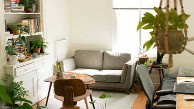 Bright living room with plants and natural sunlight, the kind of indoor space that benefits from air purification during allergy season