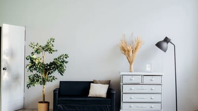 Sunlight streaming through a clean living room window, illuminating dust particles in the air