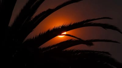 PM2.5 air quality monitor displaying readings during wildfire season with hazy sky visible through window