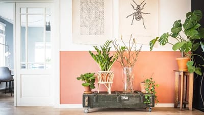 Modern living room with elegant furniture and clean indoor air
