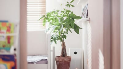 White tower air purifier running beside a potted plant in a sunlit bedroom