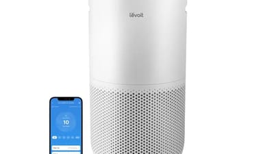 Levoit Core 400S vs Winix 5500-2