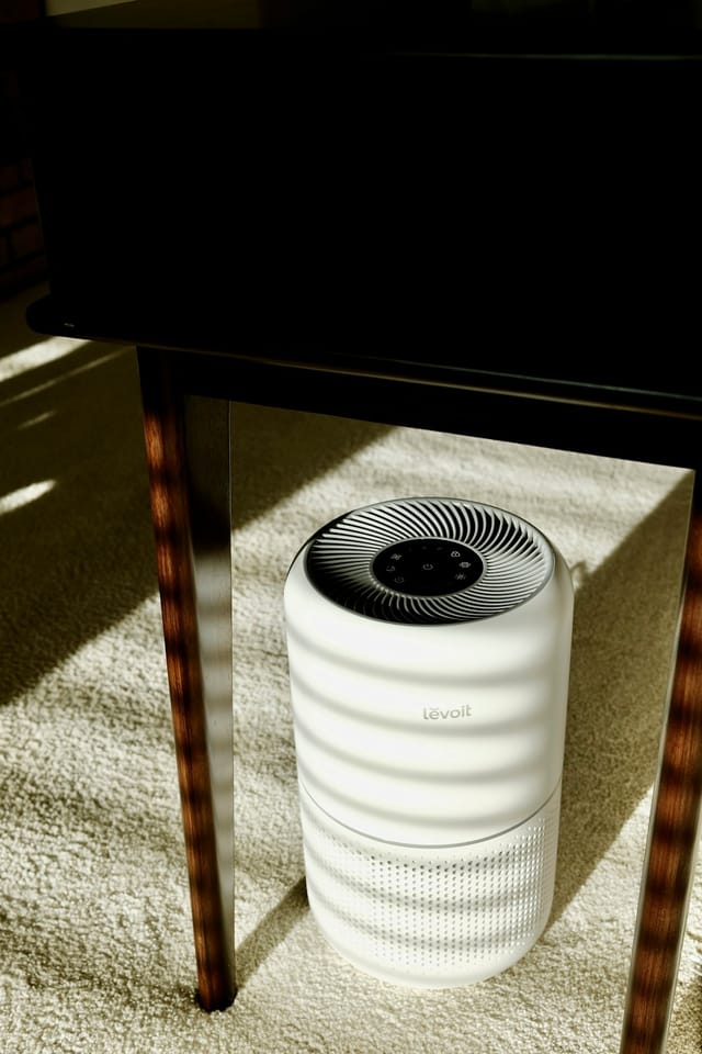 White cylindrical air purifier sitting on carpet in a sunlit room
