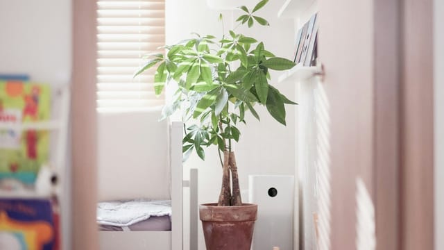 White tower air purifier running beside a potted plant in a sunlit bedroom